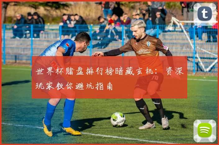 世界杯赌盘排行榜暗藏玄机：资深玩家教你避坑指南