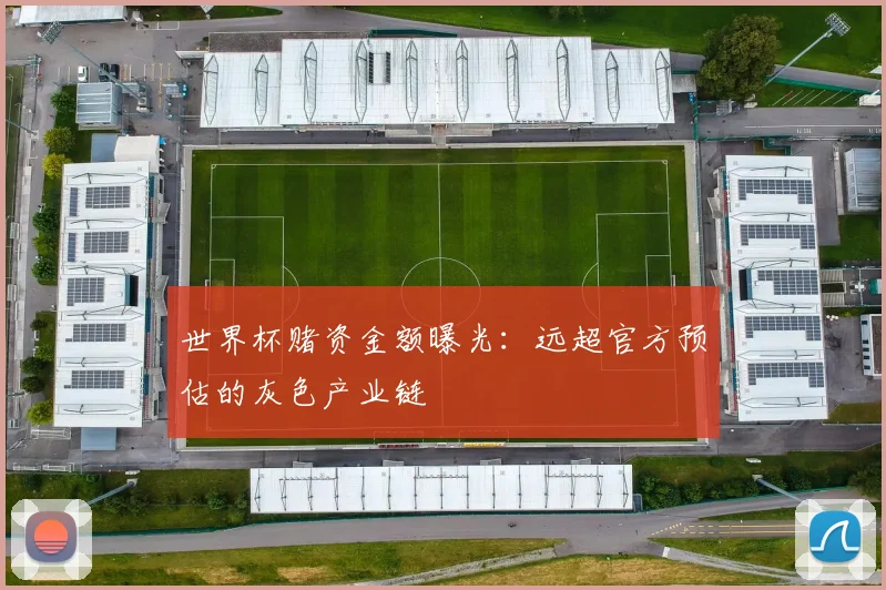 世界杯赌资金额曝光：远超官方预估的灰色产业链
