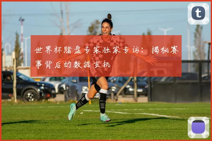 世界杯赌盘专家独家专访：揭秘赛事背后的数据玄机
