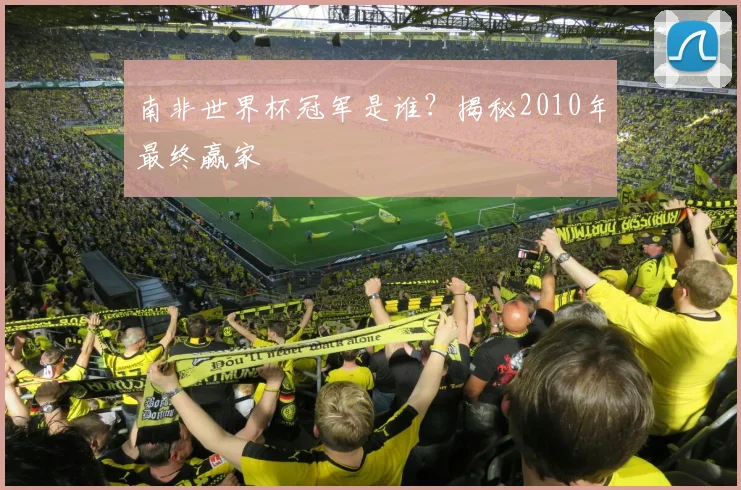 南非世界杯冠军是谁？揭秘2010年最终赢家