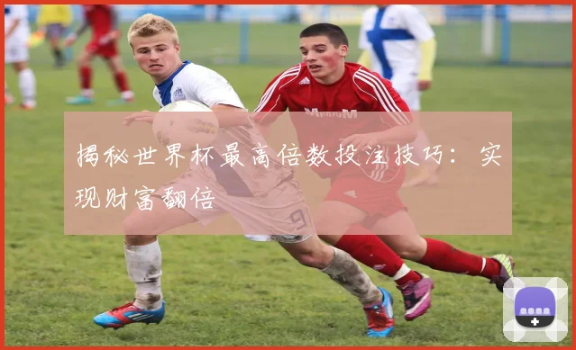 揭秘世界杯最高倍数投注技巧：实现财富翻倍