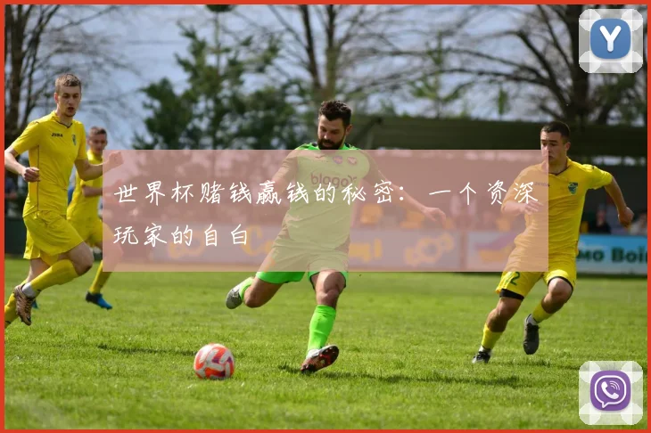 世界杯赌钱赢钱的秘密：一个资深玩家的自白