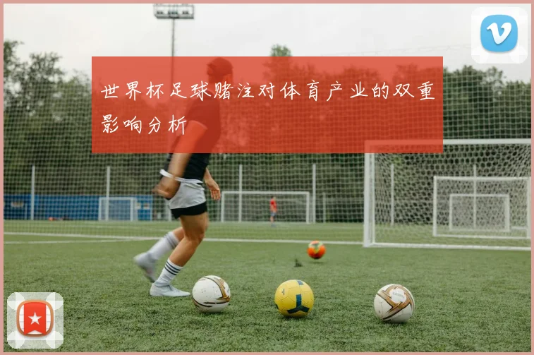 世界杯足球赌注对体育产业的双重影响分析