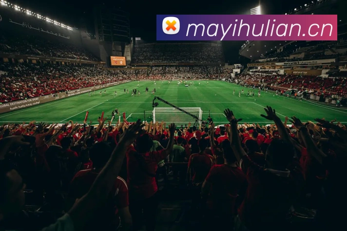 mksports在线登录入口平台生态图