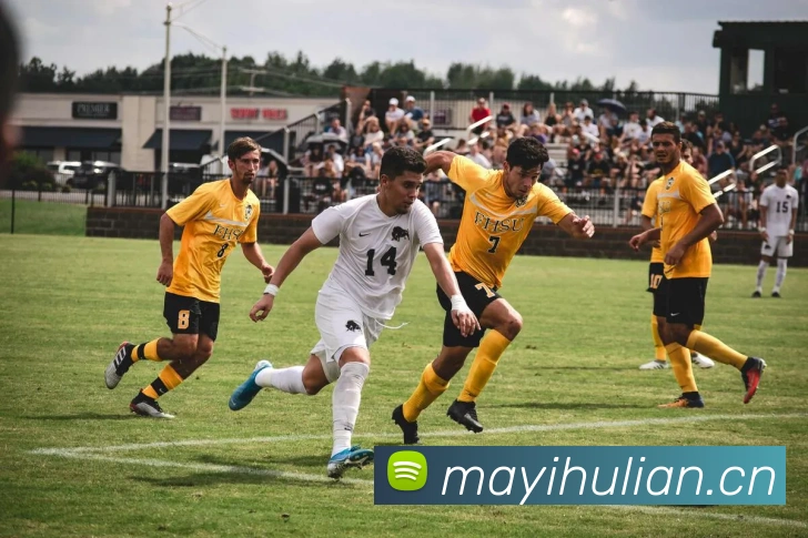 mksports在线登录入口全站App